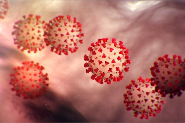 Coronaviruses: What Are They?