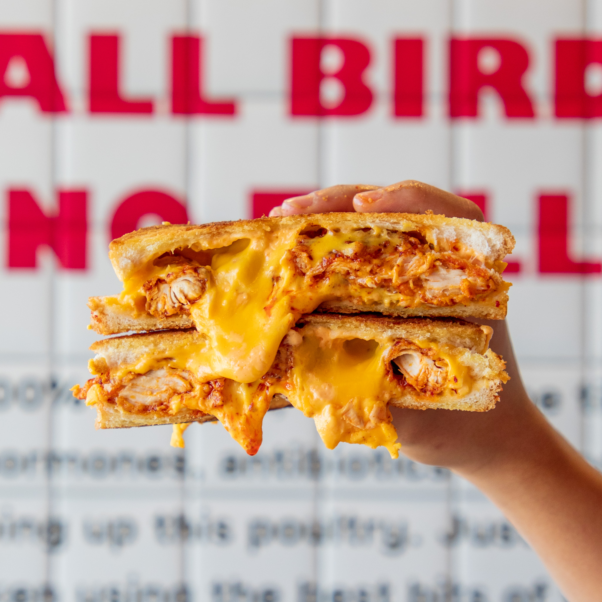 The 6 Essential Elements Of A Perfect Chicken Burger